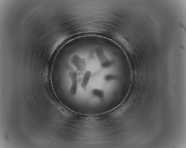 X0000091500875200708231442