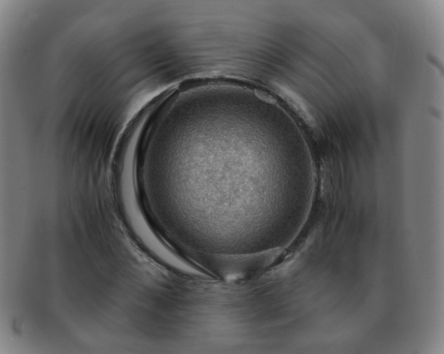 X0000091500876200708231442