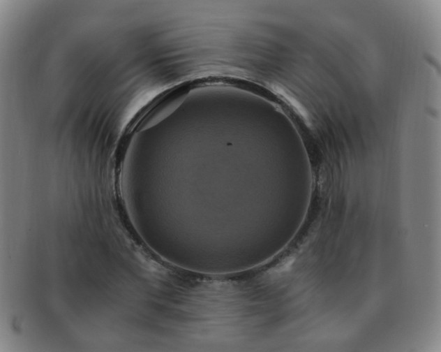X0000091500877200708231442