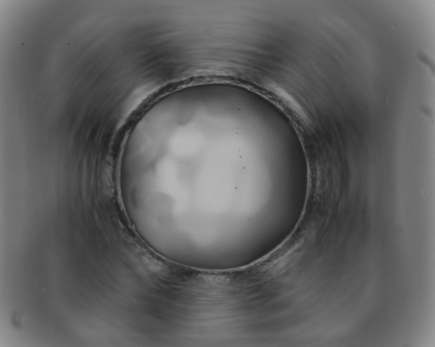 X0000091500878200708231442