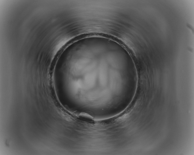 X0000091500879200708231442