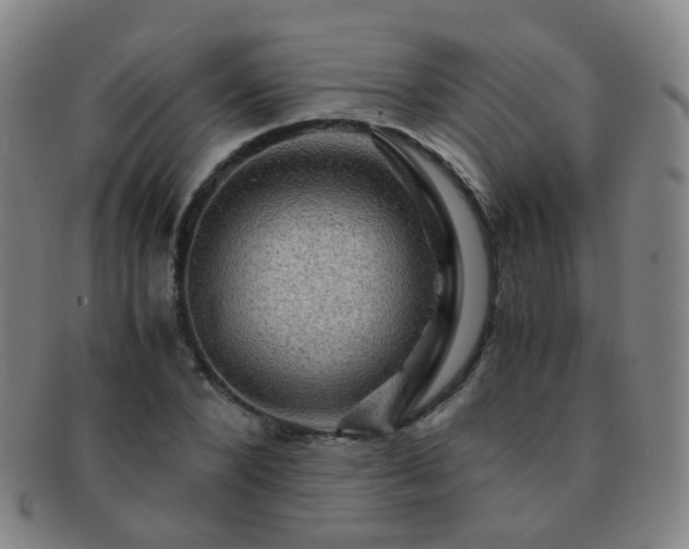 X0000091500880200708231442