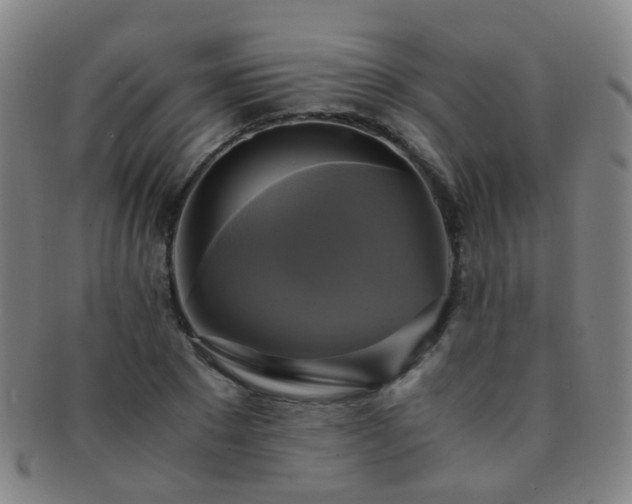 X0000091500881200708231442