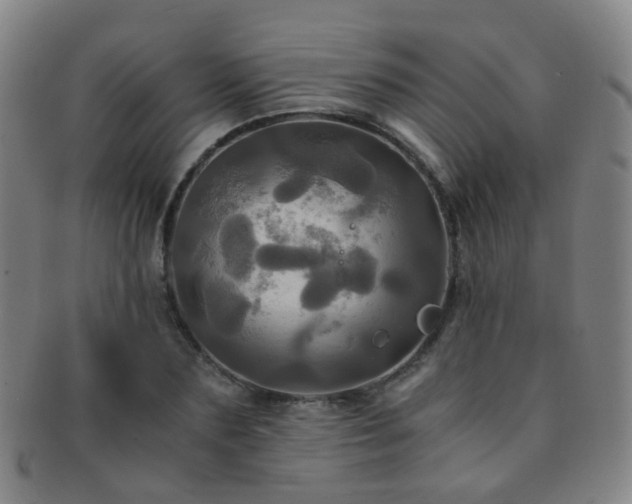 X0000091500883200708231442