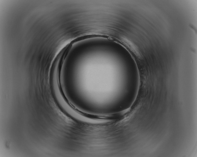 X0000091500884200708231442