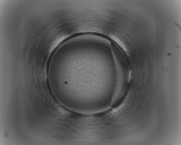 X0000091500885200708231442