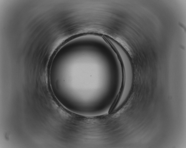 X0000091500888200708231442