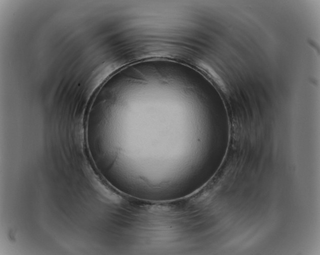 X0000091500890200708231442