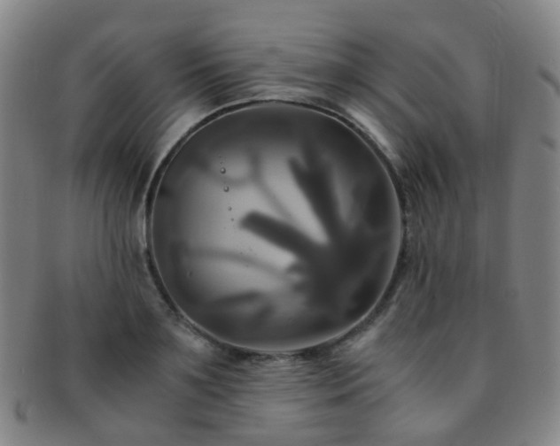 X0000091500891200708231442
