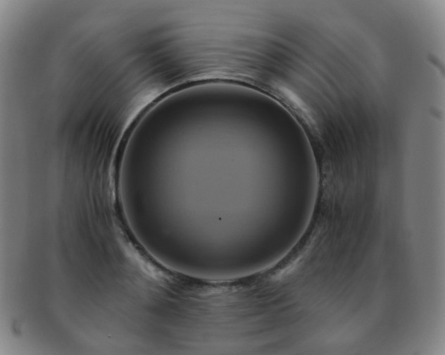 X0000091500892200708231442