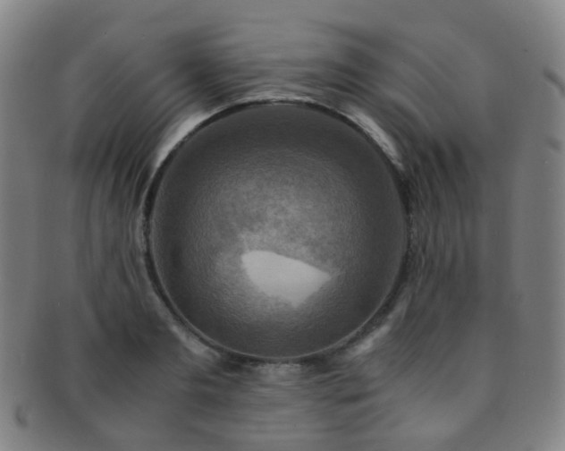 X0000091500893200708231442