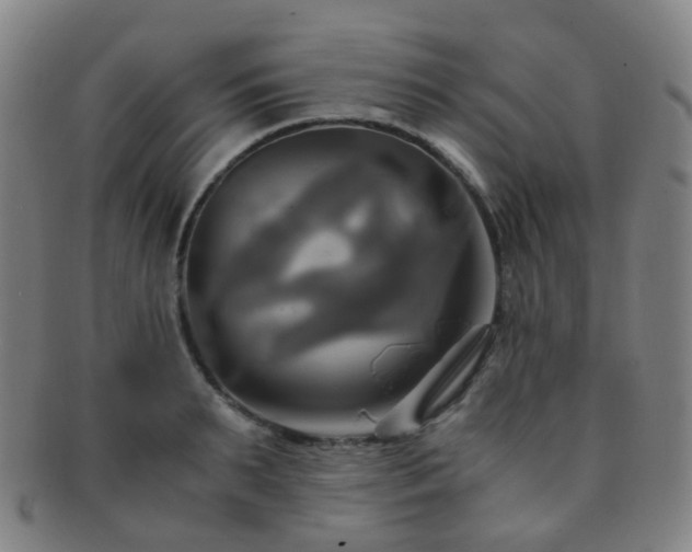 X0000091500895200708231442