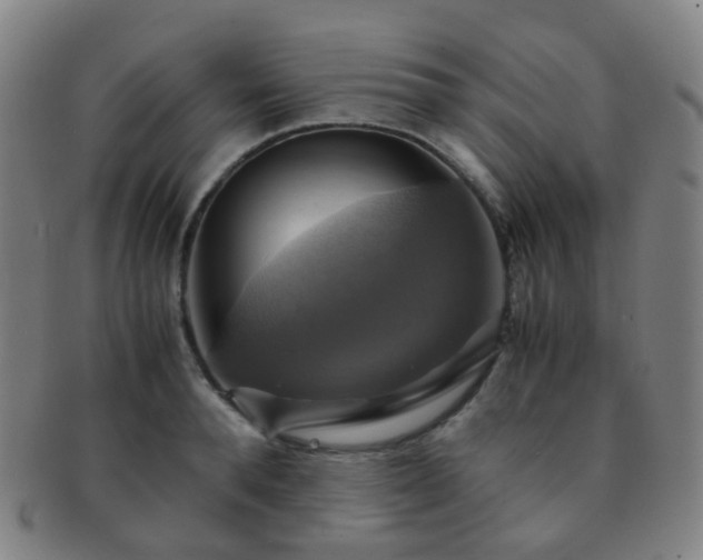 X0000091500896200708231442