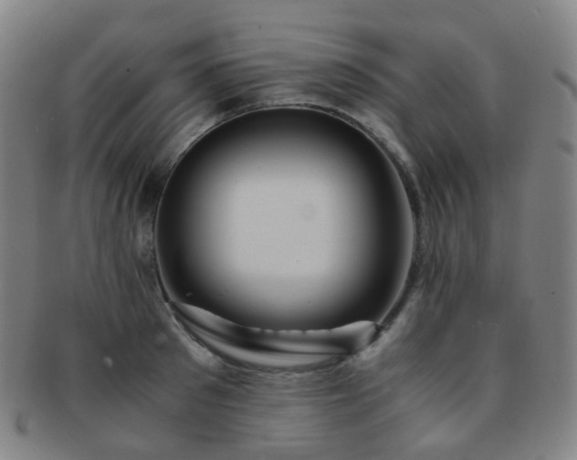 X0000091500897200708231442