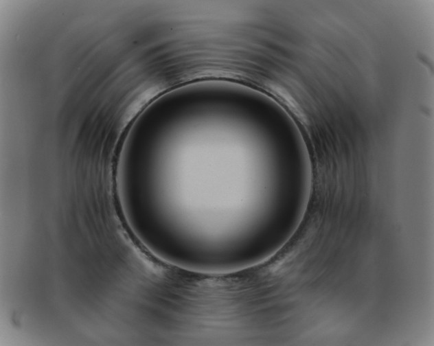 X0000091500898200708231442