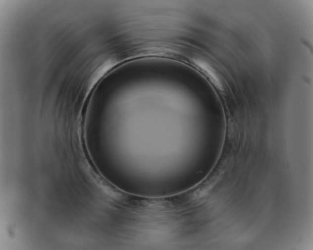 X0000091500899200708231442