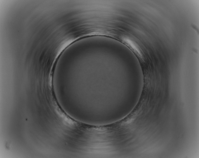 X0000091500900200708231442
