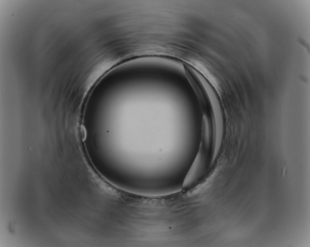 X0000091500901200708231442