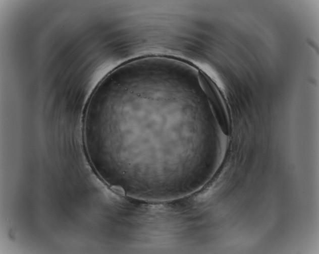 X0000091500903200708231442