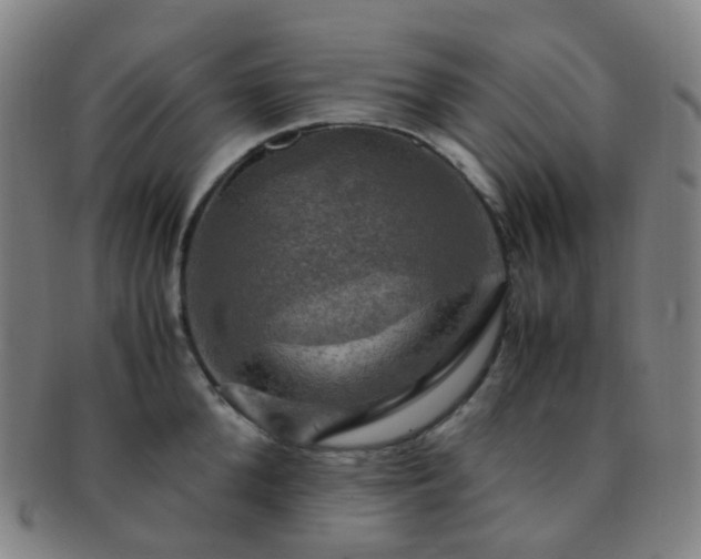 X0000091500904200708231442