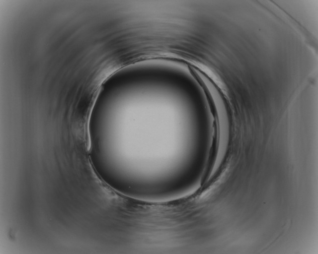 X0000091500905200708231442