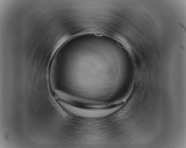 X0000091500907200708231441