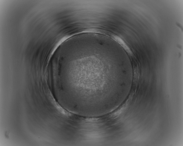 X0000091500908200708231441