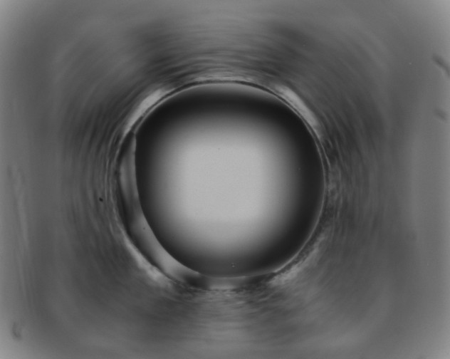 X0000091500909200708231441