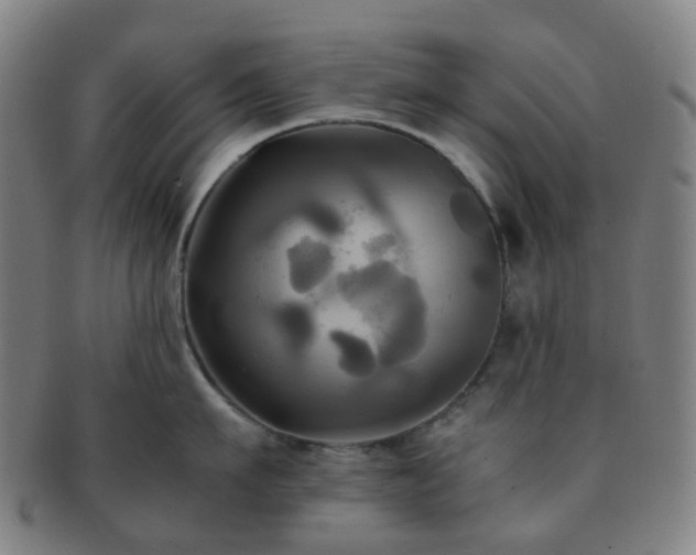 X0000091500911200708231441