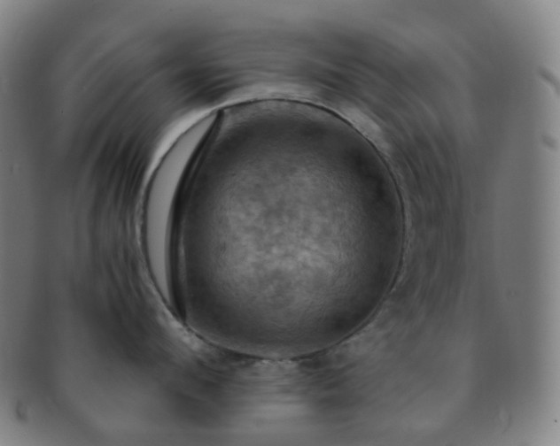 X0000091500912200708231441