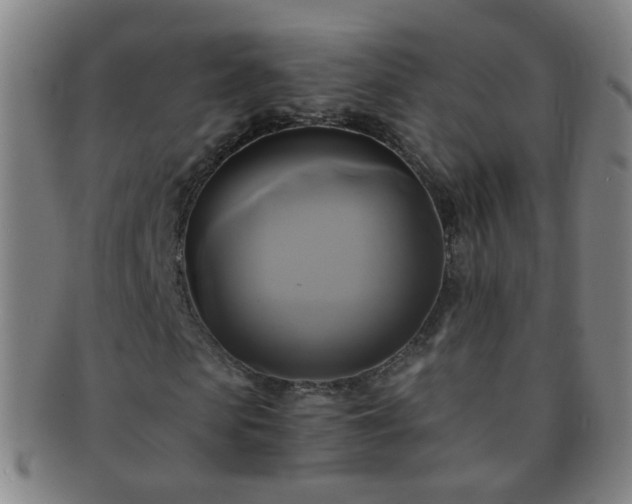 X0000091500913200708231441