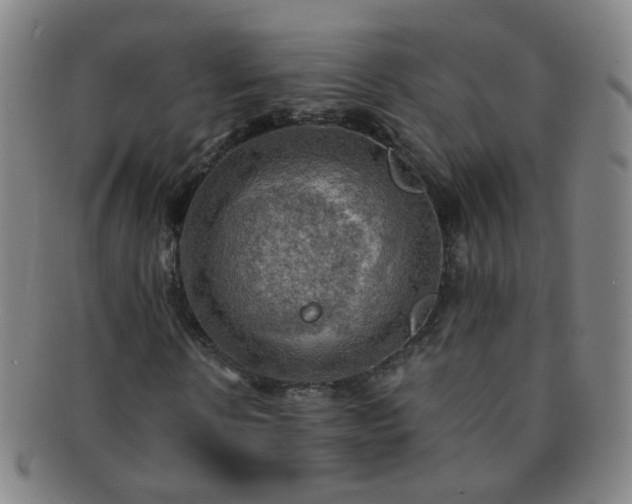 X0000091500914200708231441