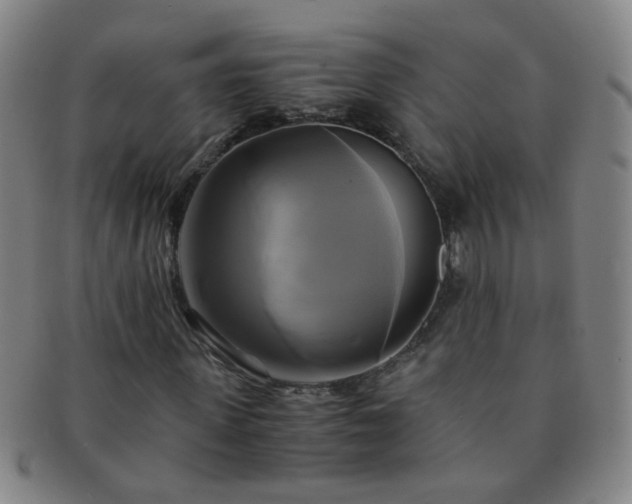 X0000091500915200708231441