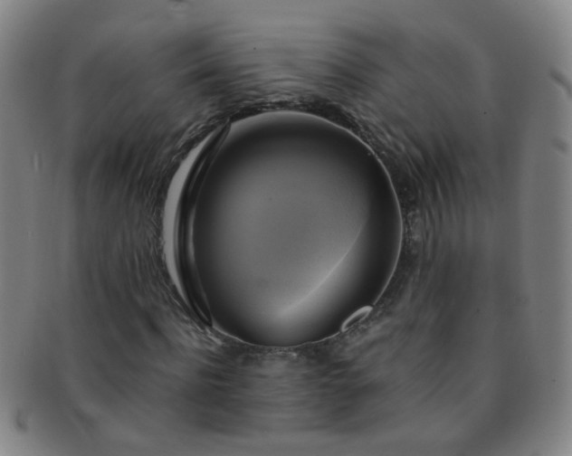 X0000091500916200708231441
