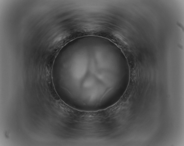 X0000091500917200708231441