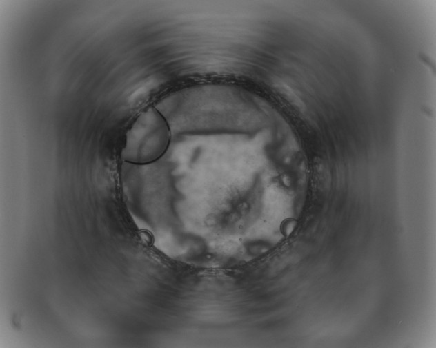 X0000091500918200708231441