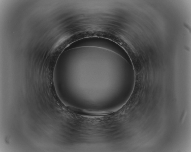 X0000091500919200708231441
