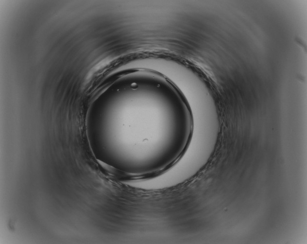 X0000091500920200708231441