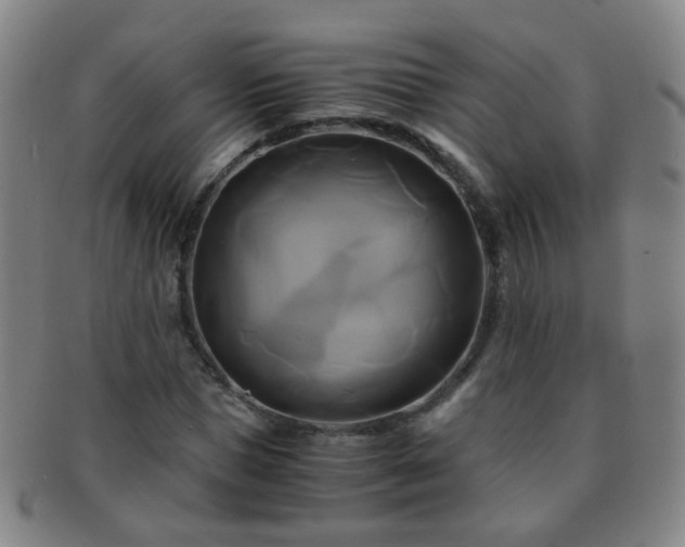 X0000091500921200708231441