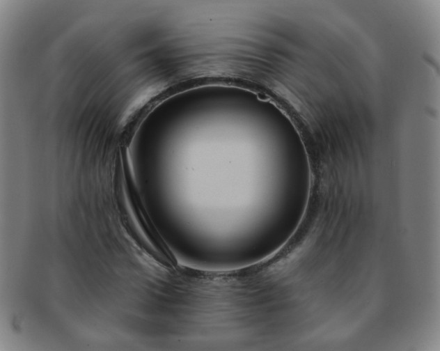 X0000091500922200708231441