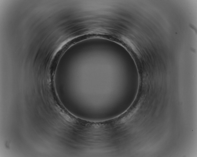 X0000091500923200708231441