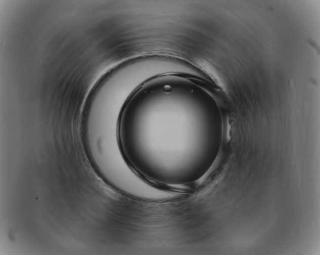 X0000091500924200708231441