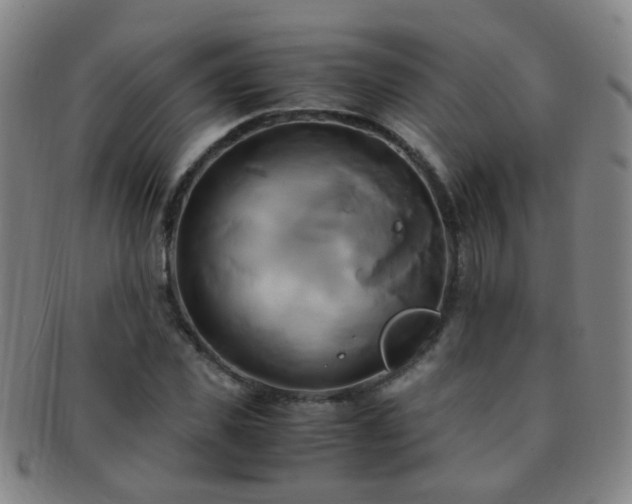 X0000091500925200708231441