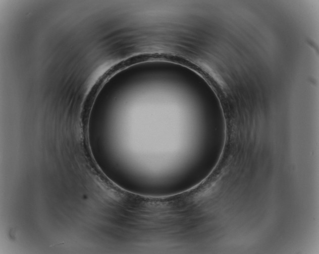 X0000091500927200708231441