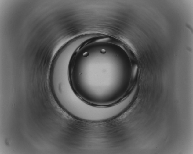 X0000091500928200708231441
