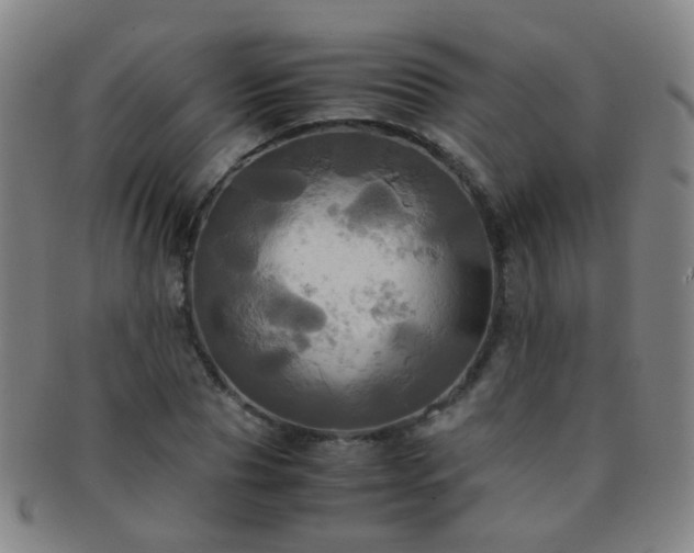 X0000091500929200708231441