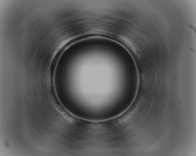 X0000091500931200708231441