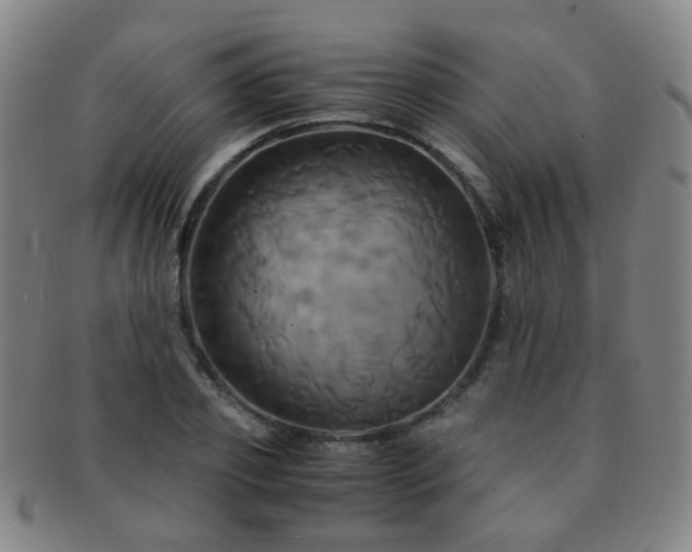 X0000091500933200708231441