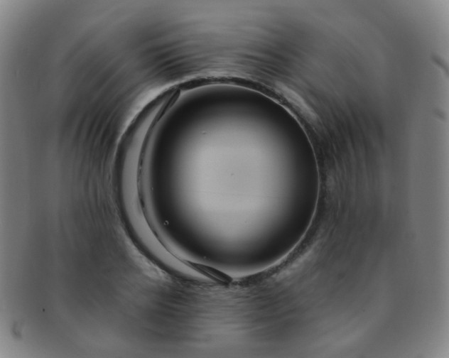 X0000091500934200708231441