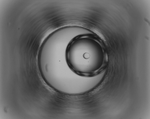 X0000091500936200708231441
